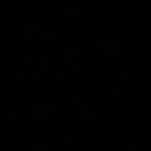 Meet your Posher, Britney